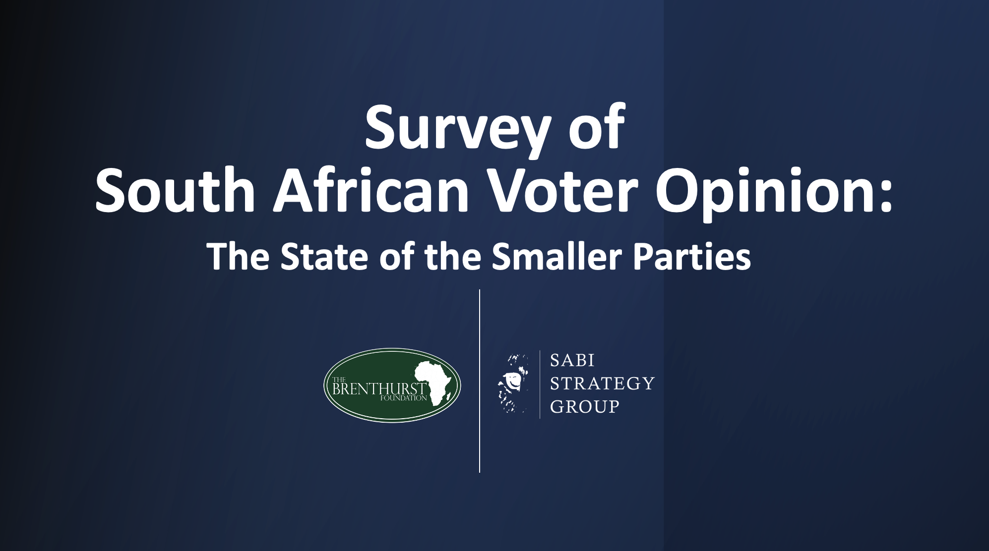 Survey of  South African Voter Opinion: the State of the Smaller Parties 