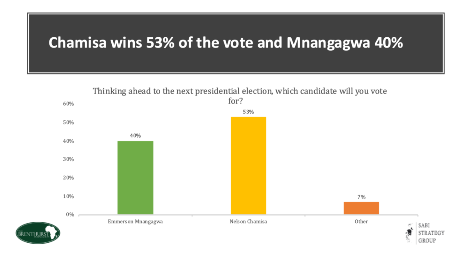 Zimbabwe’s Voters Favour Chamisa over Mnangagwa, Survey Shows
