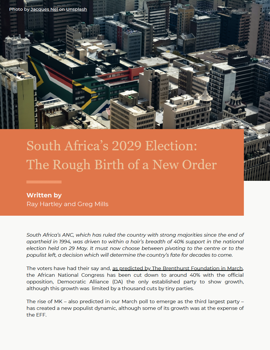 South Africa's 2029 Election: The Rough Birth of a New Order