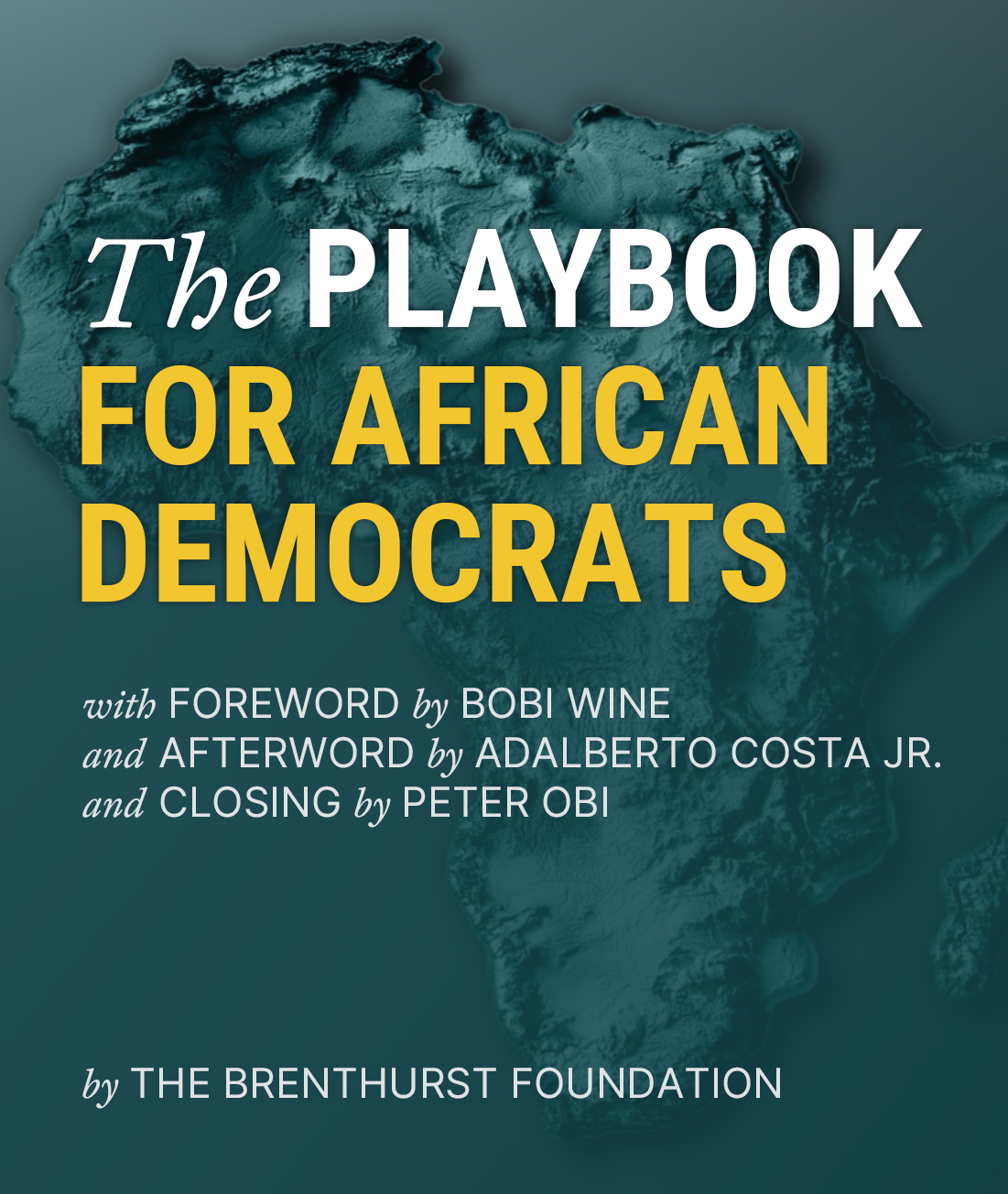 The Playbook for African Democrats